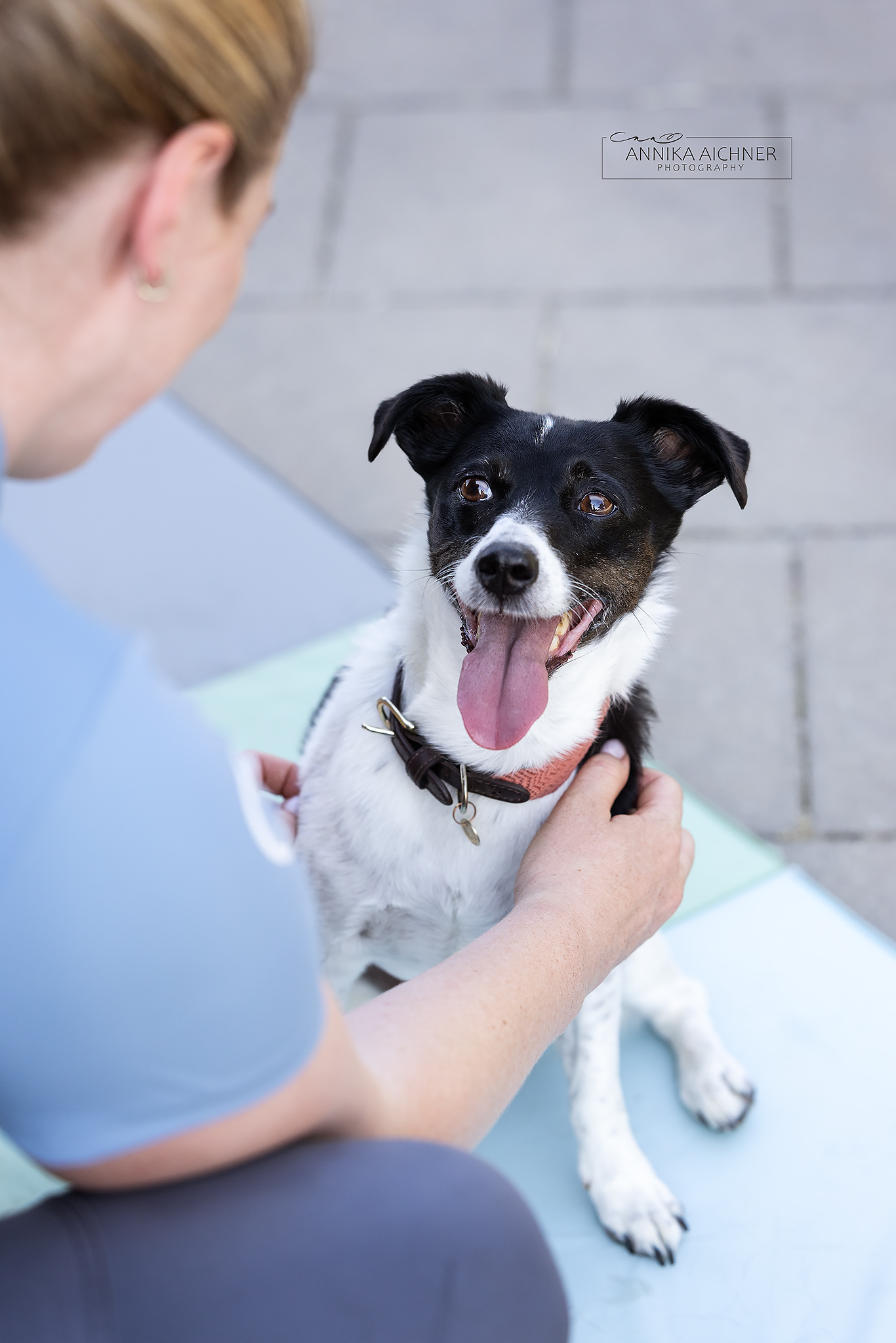 Marleen bei der Behandlung eines Hundes